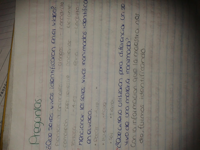 PREGUNTAS DEL VIDEO DE LOS SERES VIVIOS Elisa Sabdizareth